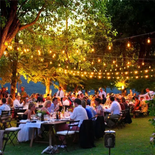 Solar powered String Lights - Image 2