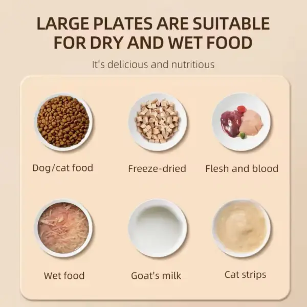 Automatic Timed Feeding Bowl for Pets (GG's) - Image 3