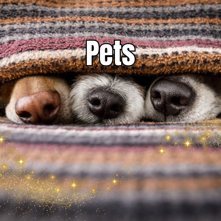 pets