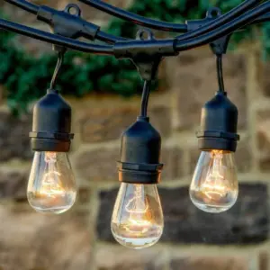 String Lights - Electrical with connector port